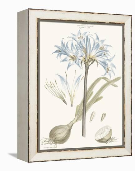 Bashful Blue Florals II-John Miller-Framed Stretched Canvas