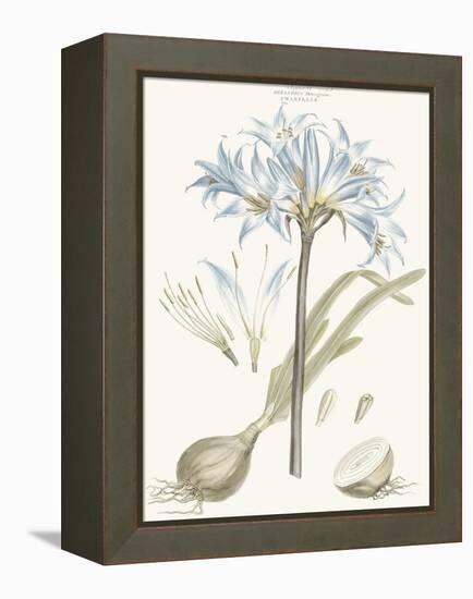 Bashful Blue Florals II-John Miller-Framed Stretched Canvas