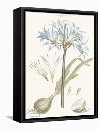 Bashful Blue Florals II-John Miller-Framed Stretched Canvas