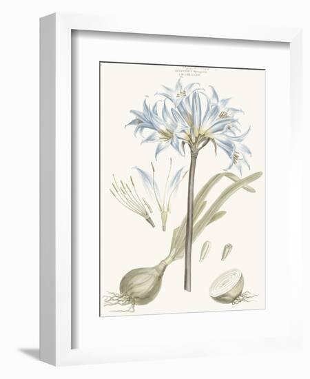 Bashful Blue Florals II-John Miller-Framed Art Print