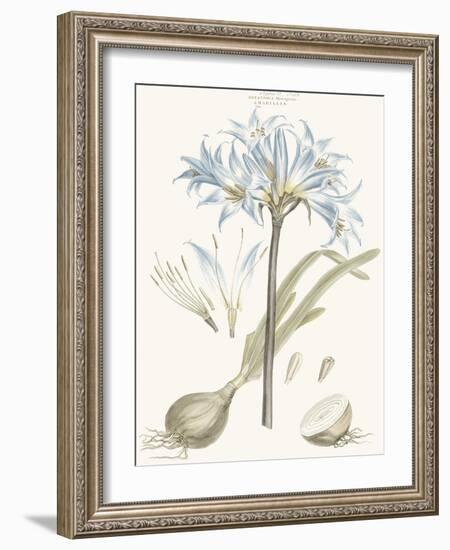 Bashful Blue Florals II-John Miller-Framed Art Print