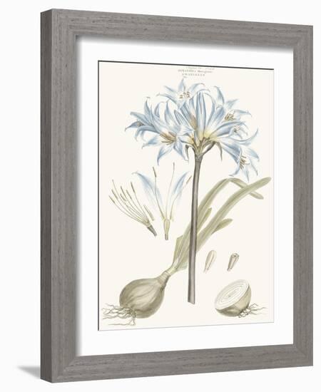 Bashful Blue Florals II-John Miller-Framed Art Print