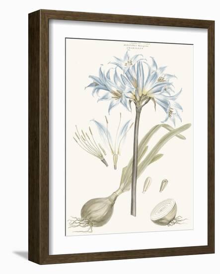 Bashful Blue Florals II-John Miller-Framed Art Print