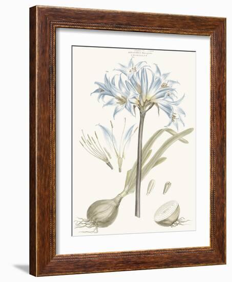Bashful Blue Florals II-John Miller-Framed Art Print