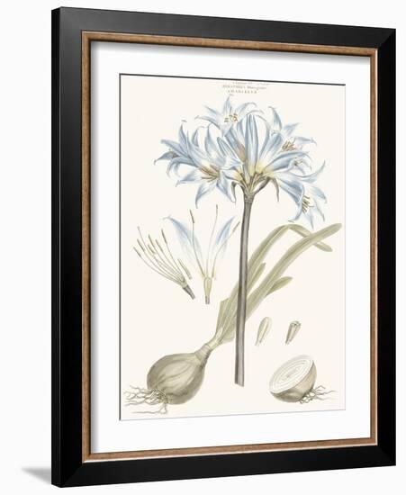 Bashful Blue Florals II-John Miller-Framed Art Print