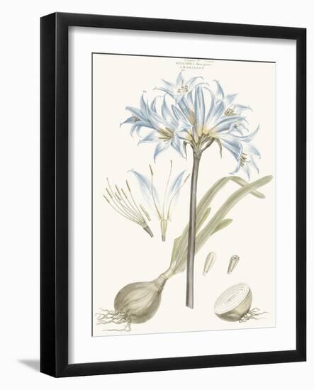 Bashful Blue Florals II-John Miller-Framed Art Print