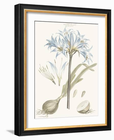 Bashful Blue Florals II-John Miller-Framed Art Print