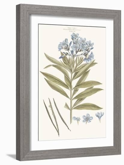 Bashful Blue Florals III-John Miller-Framed Art Print