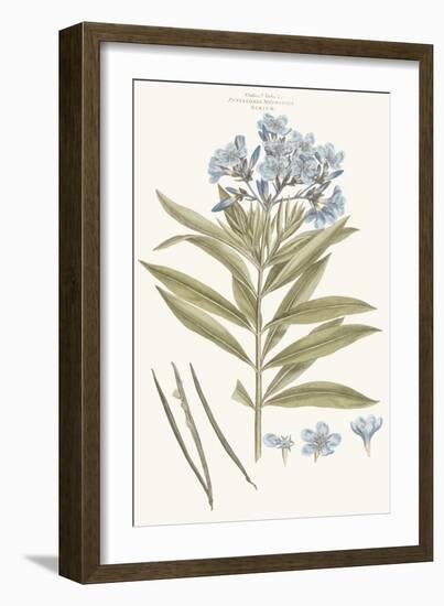 Bashful Blue Florals III-John Miller-Framed Art Print