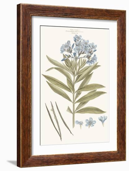 Bashful Blue Florals III-John Miller-Framed Art Print