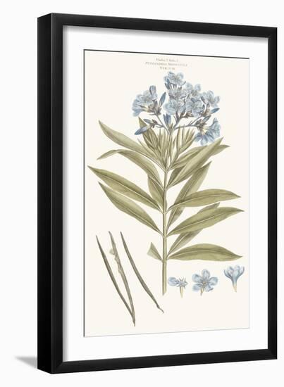 Bashful Blue Florals III-John Miller-Framed Art Print