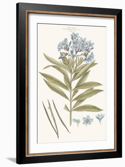 Bashful Blue Florals III-John Miller-Framed Art Print