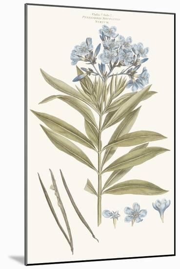 Bashful Blue Florals III-John Miller-Mounted Art Print