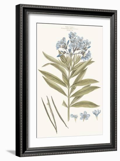 Bashful Blue Florals III-John Miller-Framed Art Print