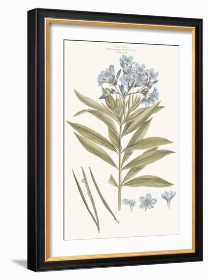 Bashful Blue Florals III-John Miller-Framed Art Print