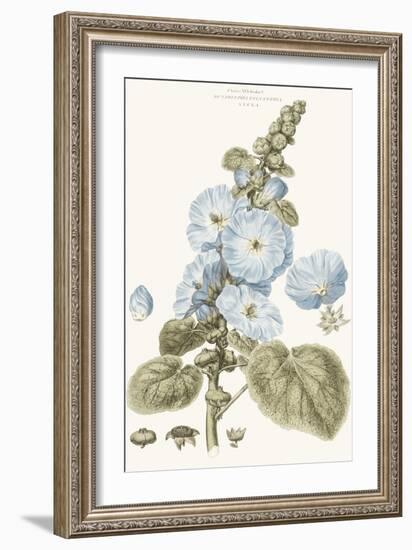 Bashful Blue Florals IV-John Miller-Framed Art Print