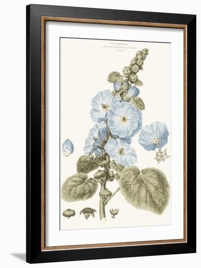 Bashful Blue Florals IV-John Miller-Framed Art Print