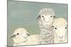 Bashful Sheep II-Jade Reynolds-Mounted Premium Giclee Print