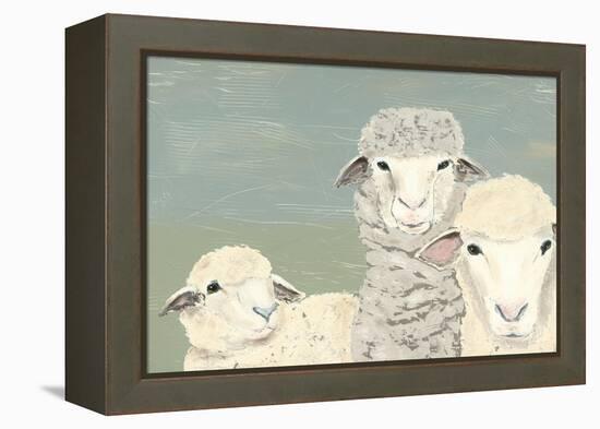 Bashful Sheep II-Jade Reynolds-Framed Stretched Canvas