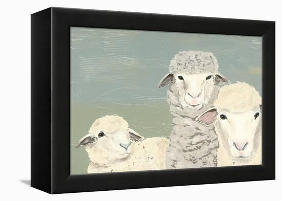 Bashful Sheep II-Jade Reynolds-Framed Stretched Canvas