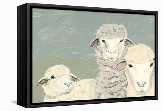 Bashful Sheep II-Jade Reynolds-Framed Stretched Canvas