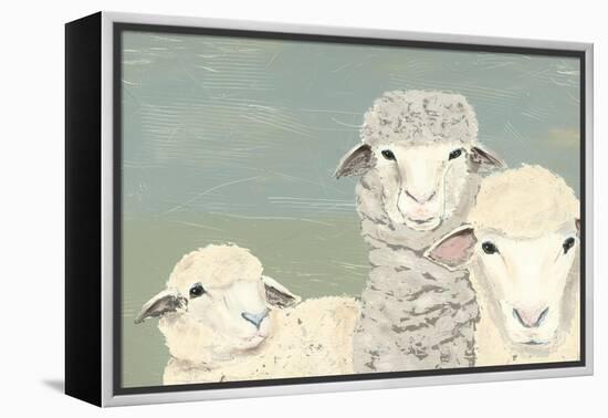 Bashful Sheep II-Jade Reynolds-Framed Stretched Canvas