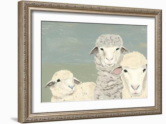 Bashful Sheep II-Jade Reynolds-Framed Art Print