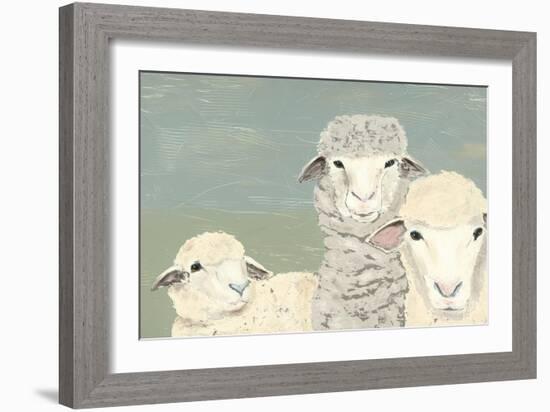 Bashful Sheep II-Jade Reynolds-Framed Art Print
