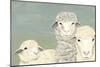 Bashful Sheep II-Jade Reynolds-Mounted Art Print