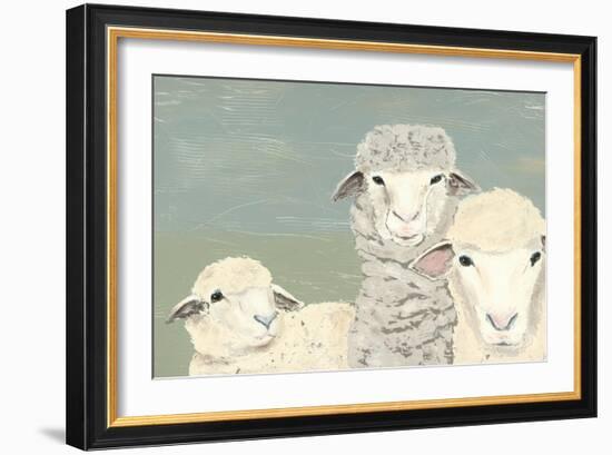 Bashful Sheep II-Jade Reynolds-Framed Art Print