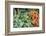 Basil and carrots at farmer's market, USA-Jim Engelbrecht-Framed Photographic Print