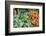 Basil and carrots at farmer's market, USA-Jim Engelbrecht-Framed Photographic Print