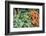 Basil and carrots at farmer's market, USA-Jim Engelbrecht-Framed Photographic Print