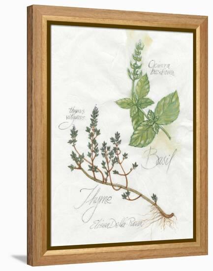 Basil and Thyme-Elissa Della-piana-Framed Stretched Canvas