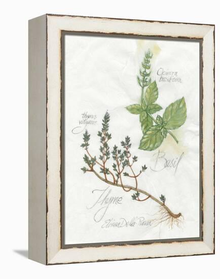 Basil and Thyme-Elissa Della-piana-Framed Stretched Canvas