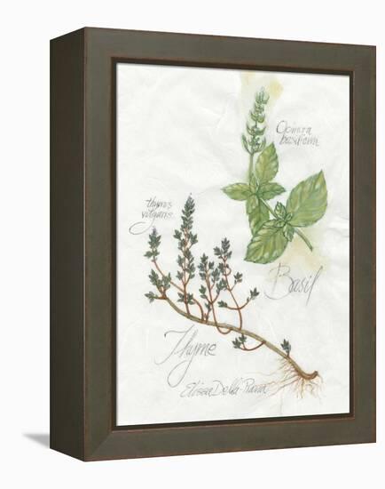 Basil and Thyme-Elissa Della-piana-Framed Stretched Canvas