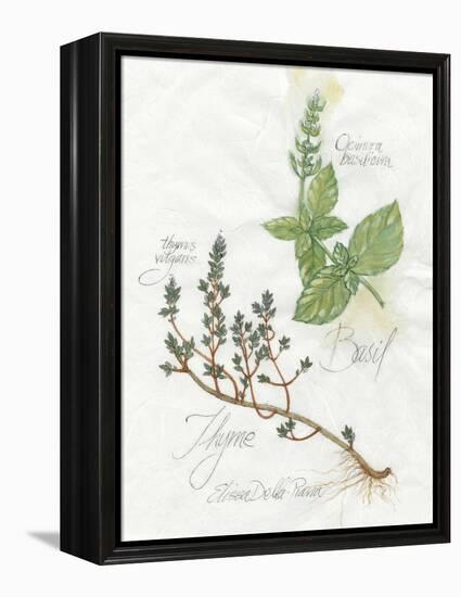 Basil and Thyme-Elissa Della-piana-Framed Stretched Canvas