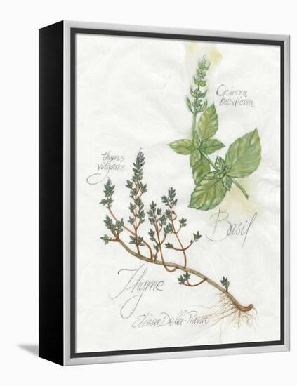 Basil and Thyme-Elissa Della-piana-Framed Stretched Canvas