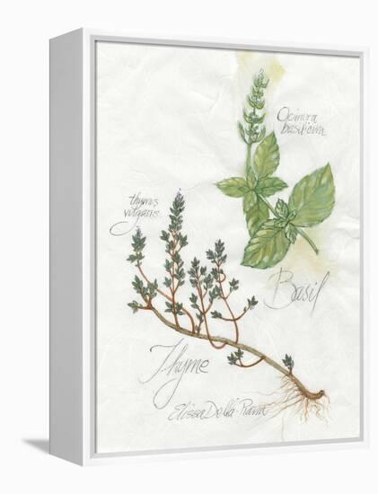 Basil and Thyme-Elissa Della-piana-Framed Stretched Canvas