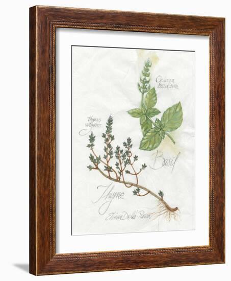 Basil and Thyme-Elissa Della-piana-Framed Art Print