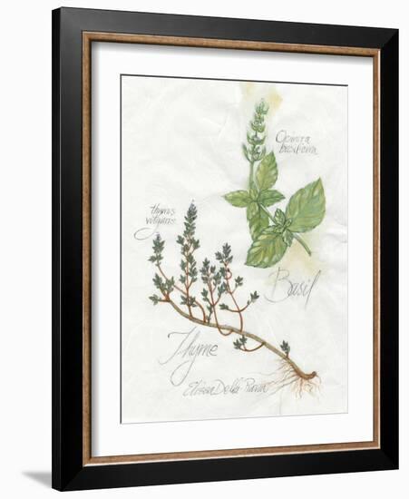 Basil and Thyme-Elissa Della-piana-Framed Art Print