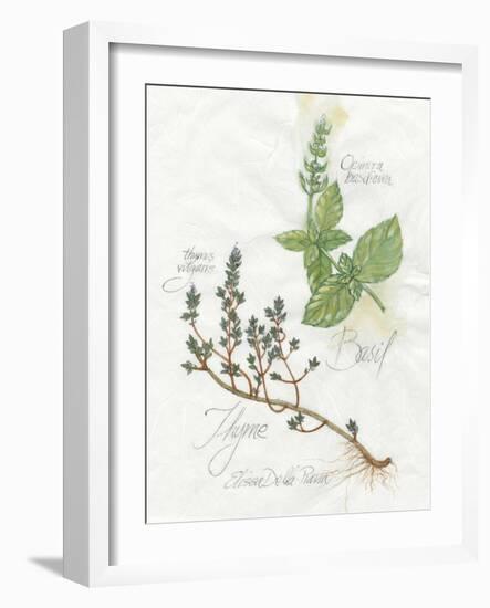 Basil and Thyme-Elissa Della-piana-Framed Art Print