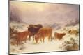 Giclee Print