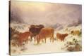 Stretched Canvas Print