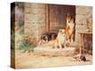 Stretched Canvas Print