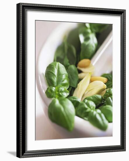 Basil, Garlic and Pine Nuts (Ingredients for Pesto)-null-Framed Photographic Print