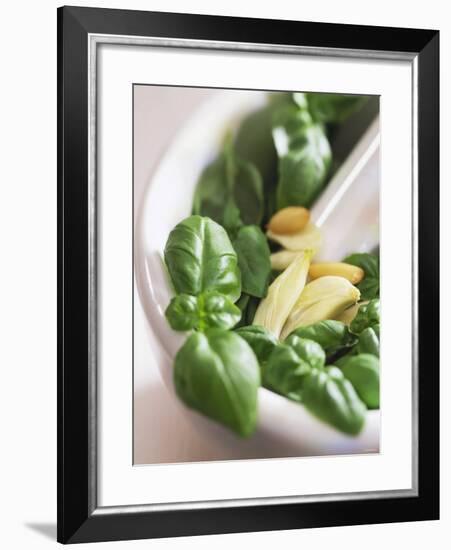 Basil, Garlic and Pine Nuts (Ingredients for Pesto)-null-Framed Photographic Print