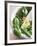 Basil, Garlic and Pine Nuts (Ingredients for Pesto)-null-Framed Photographic Print