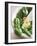 Basil, Garlic and Pine Nuts (Ingredients for Pesto)-null-Framed Photographic Print