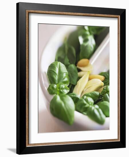 Basil, Garlic and Pine Nuts (Ingredients for Pesto)-null-Framed Photographic Print